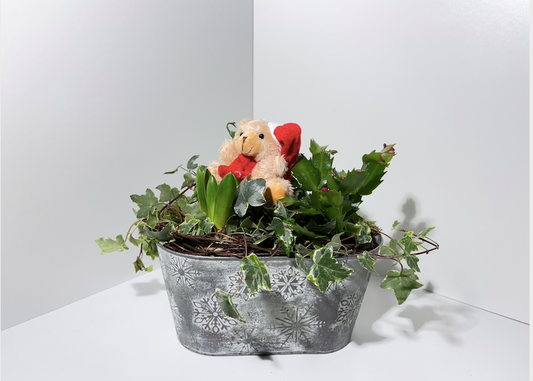 Composition végétale avec doudou – Douceur d’Hiver