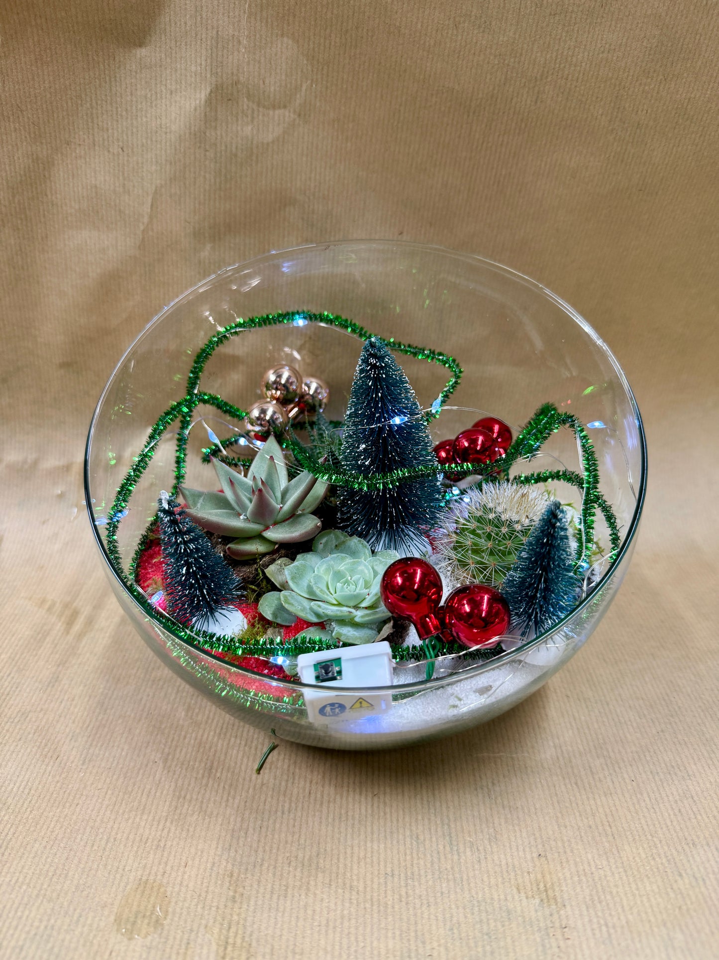 Terrarium de Noël Magique