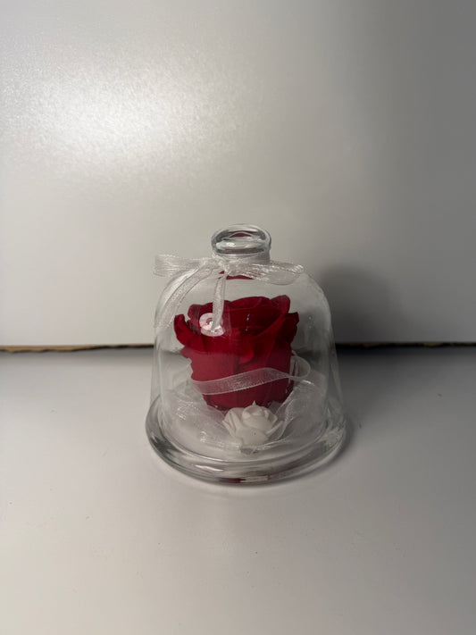 Rose Éternelle Cœur de Velours