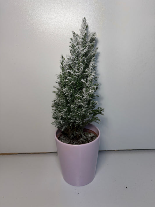 Sapin décoratif enneigé en pot rose