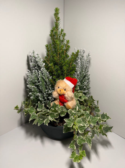 Composition végétale avec ourson – Décoration festive et chaleureuse