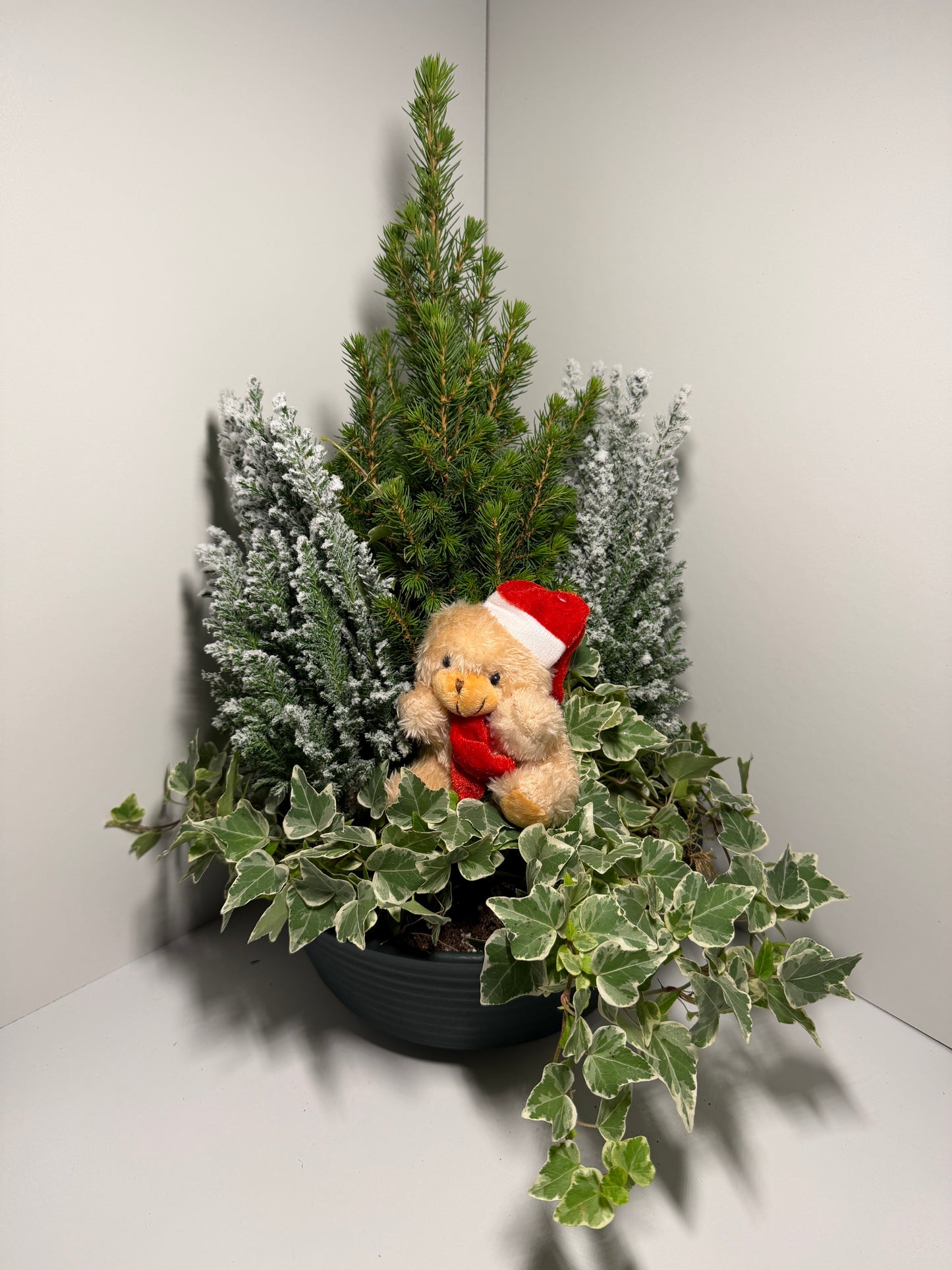 Composition végétale avec ourson – Décoration festive et chaleureuse