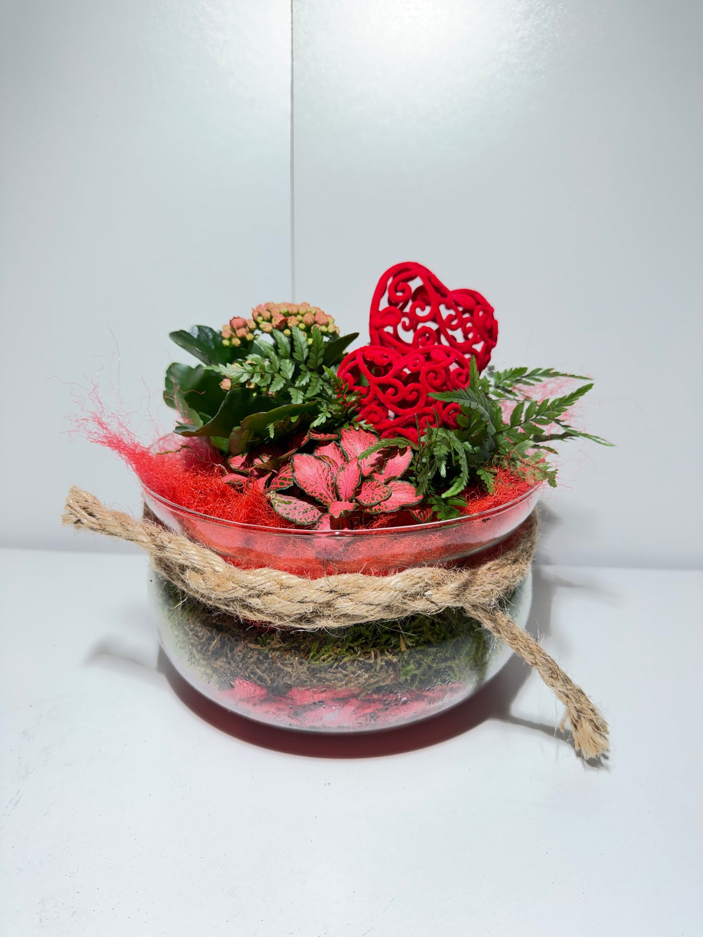 Terrarium de Plantes "Passion Rouge" – Coupe en Verre & Décoration Cœurs