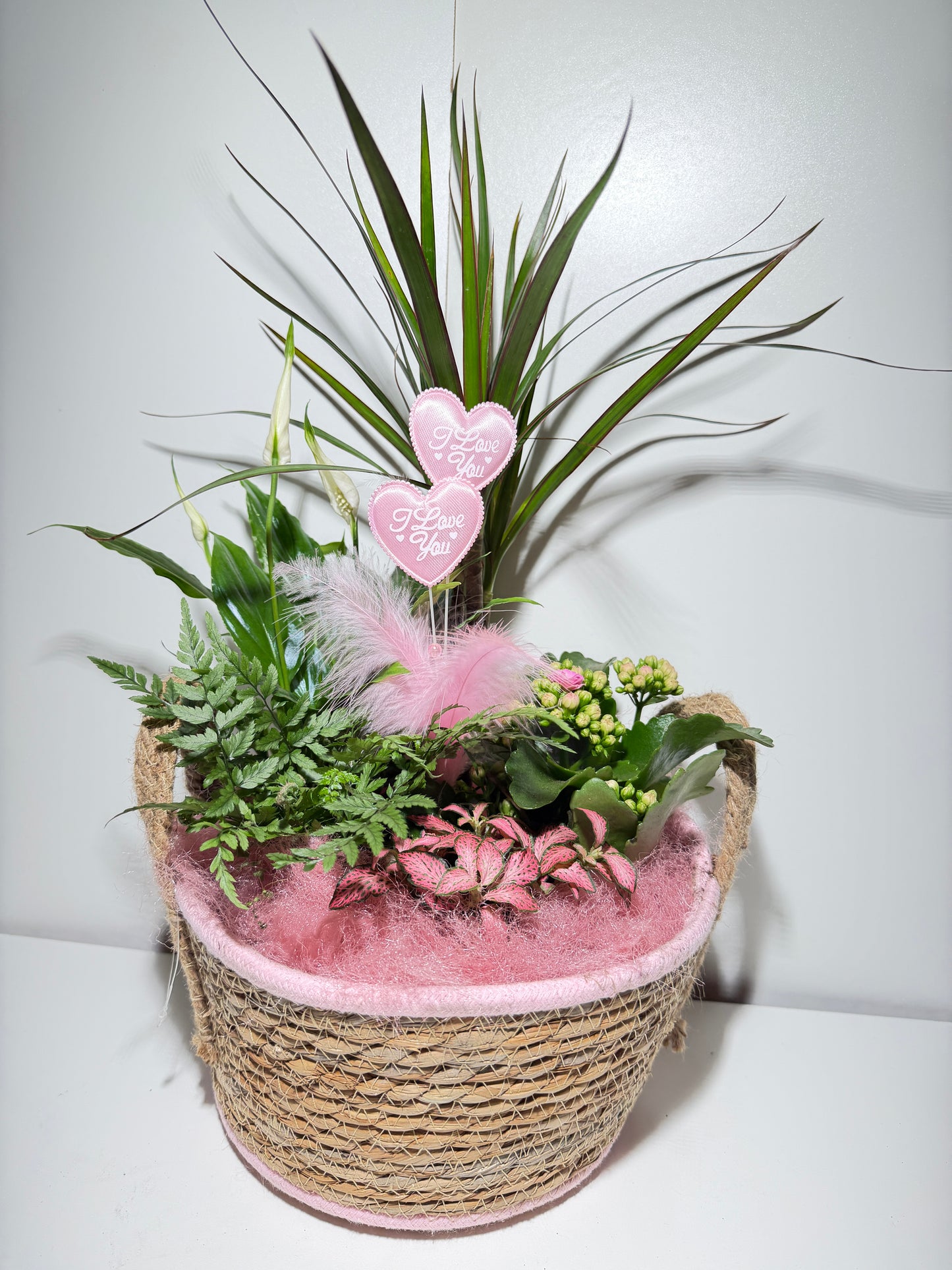 Panier de Plantes "Tendresse Rose" – Composition Florale Douce & Romantique