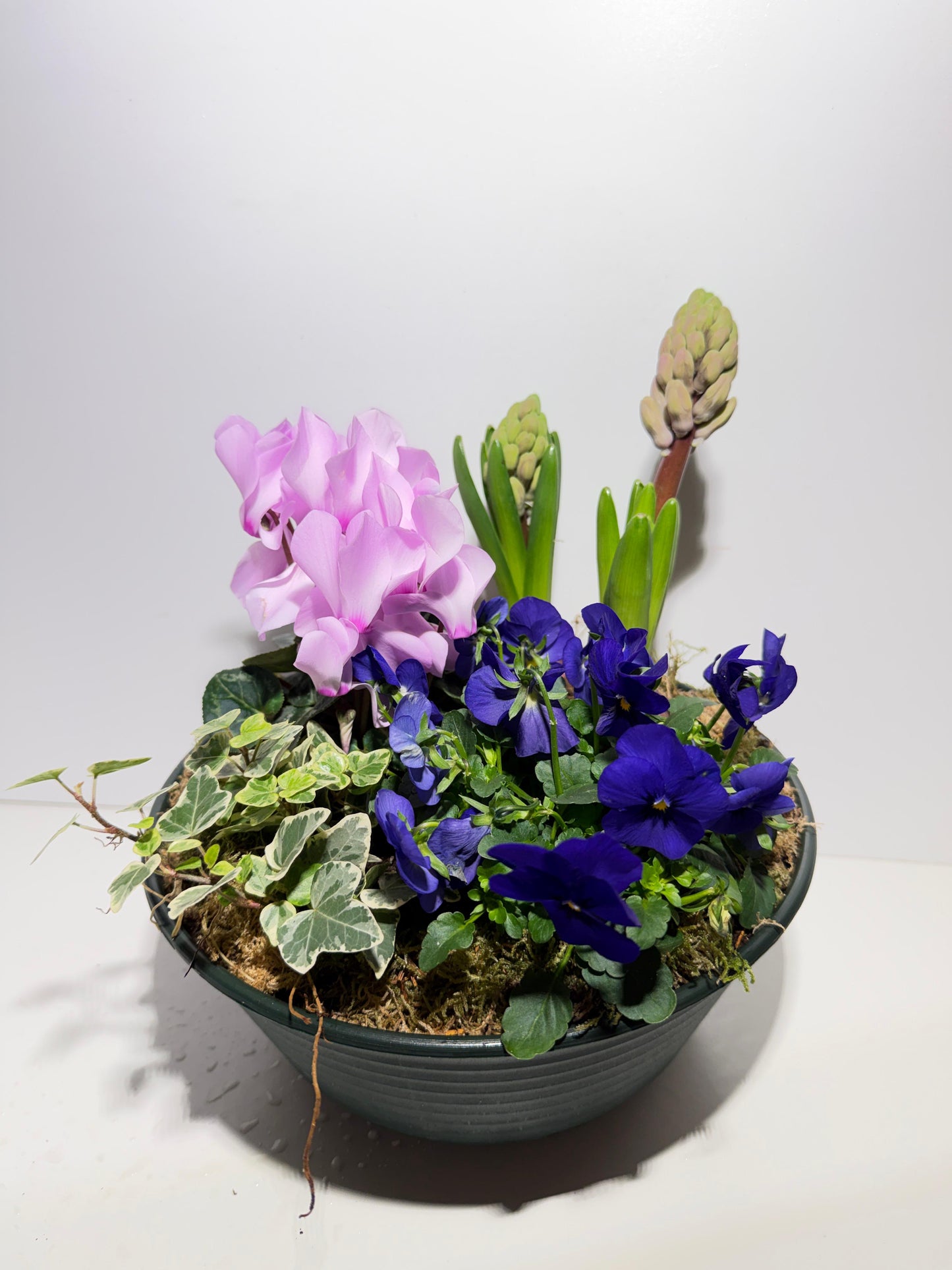 Coupe de Plantes Printanière – Un Jardin Miniature chez Vous