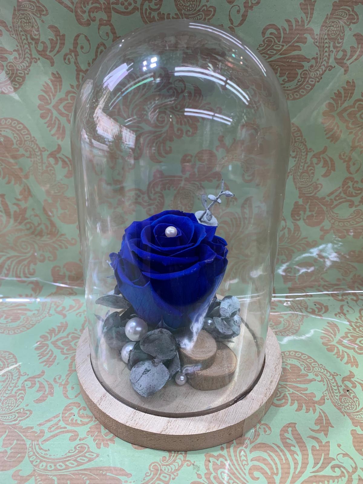 Rose Éternelle "Bleu Royal" sous Cloche