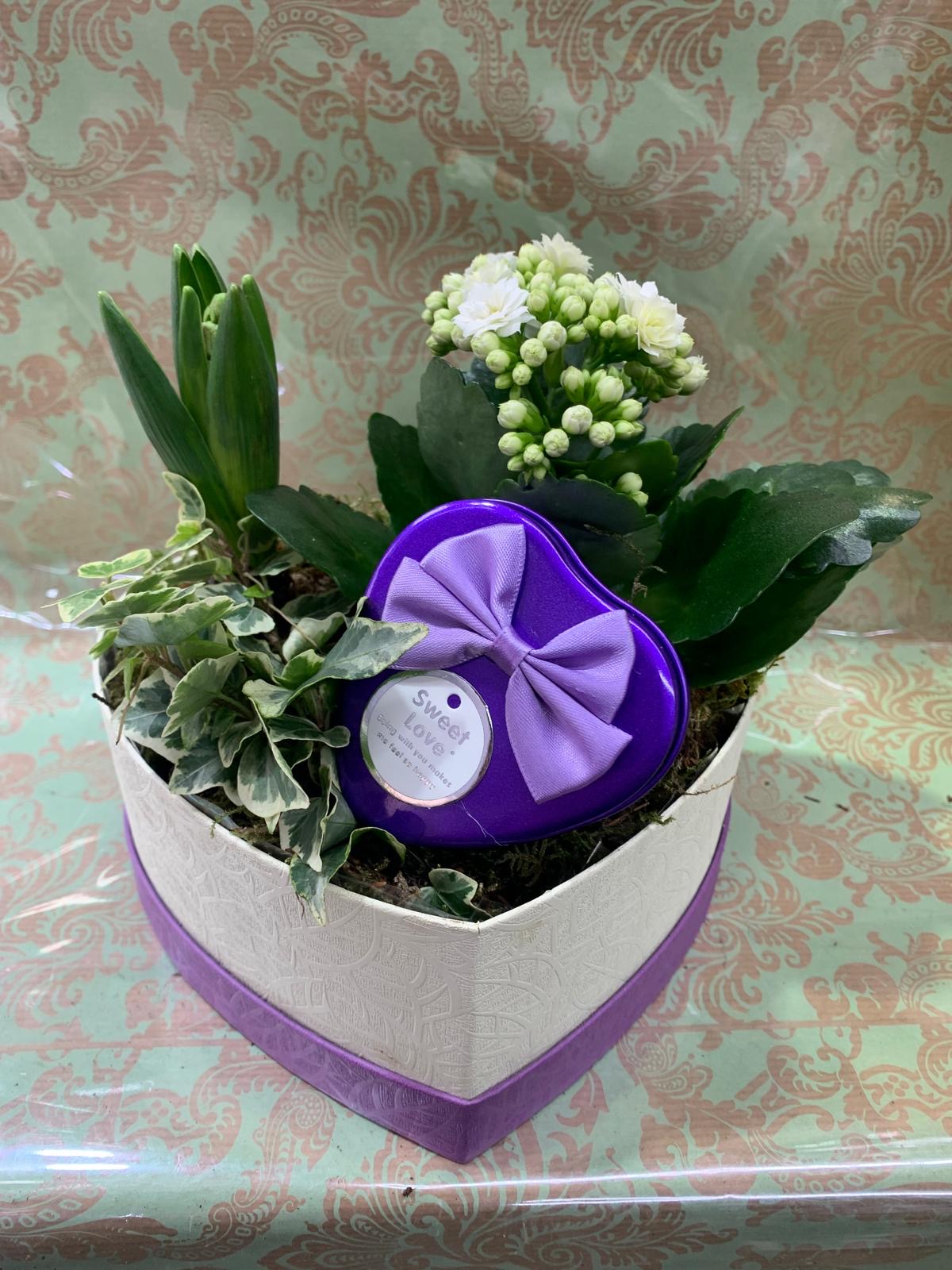 Composition "Cœur Jardin & Douceur" (Mauve & Blanc)