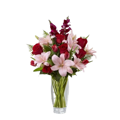 Éclat Passion et Douceur