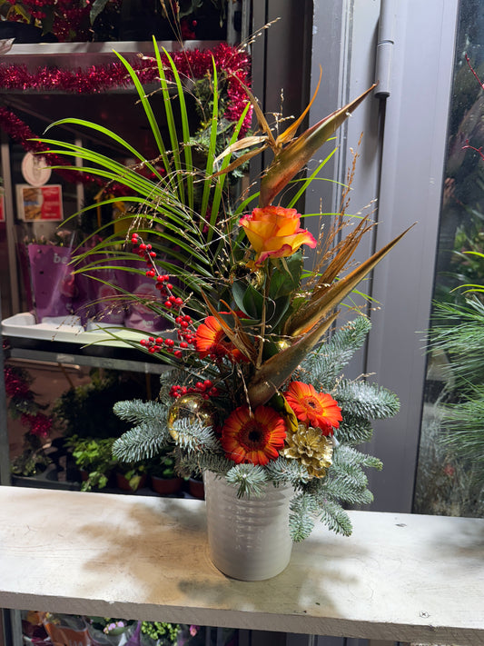 Composition Éclat Tropical d’Hiver