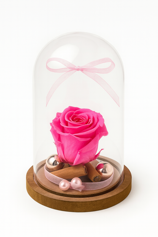 Rose Éternelle Rosée