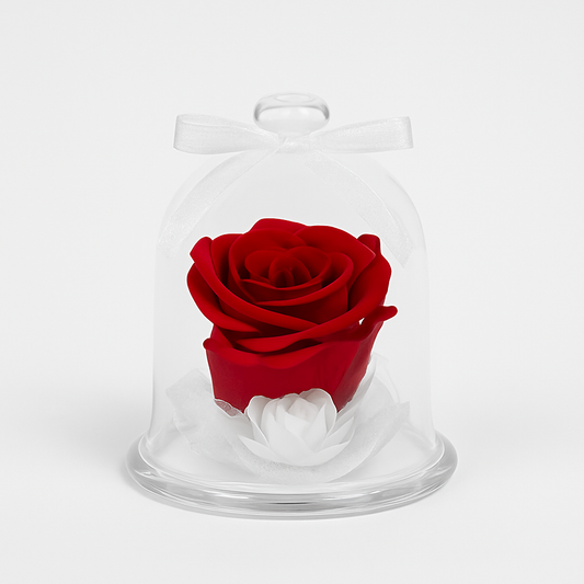 Rose Éternelle Cœur de Velours