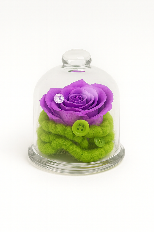 Rose Éternelle Violet Précieux