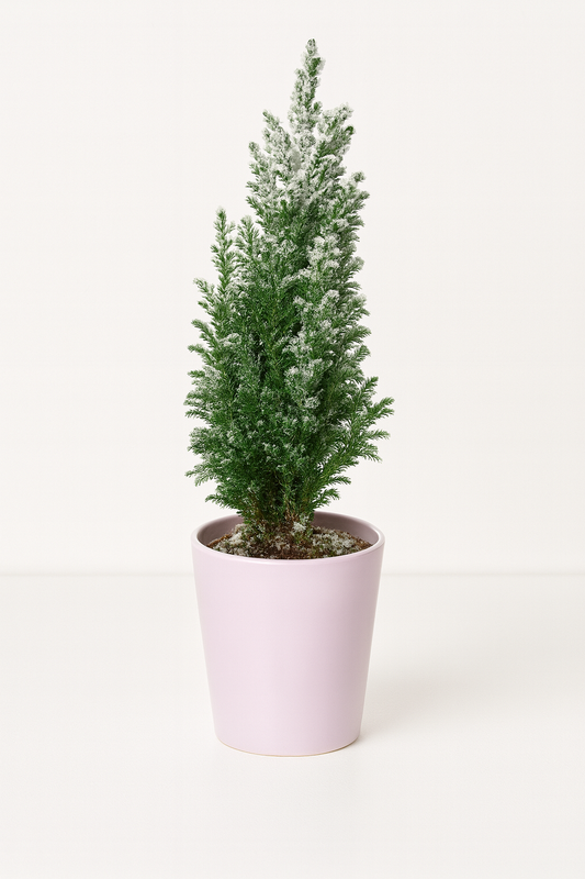Sapin décoratif enneigé en pot rose