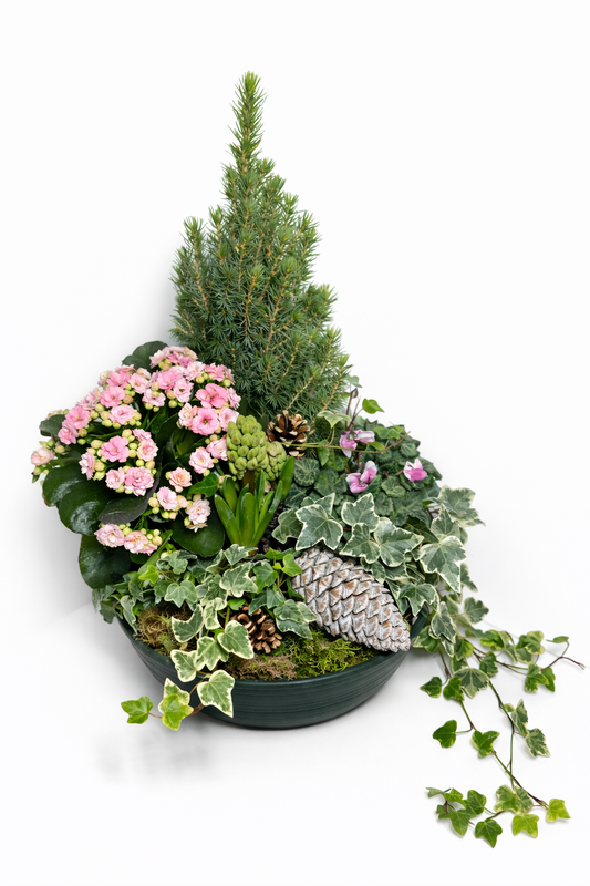 Composition végétale élégante avec conifère et fleurs roses