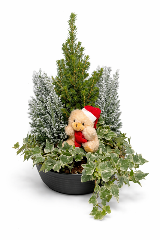 Composition végétale avec ourson – Décoration festive et chaleureuse