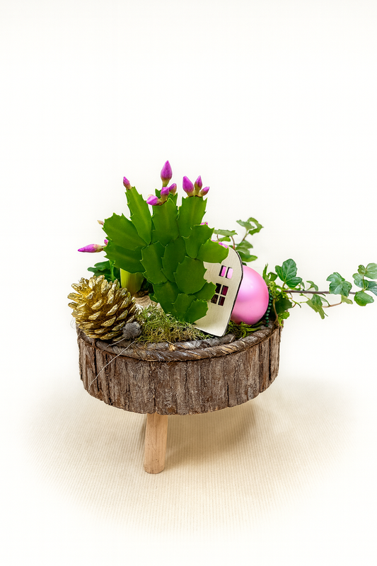 Mini Jardin d’Hiver Féérique