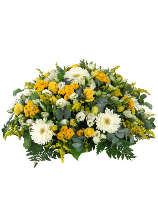 Coussin Soleil et Pureté