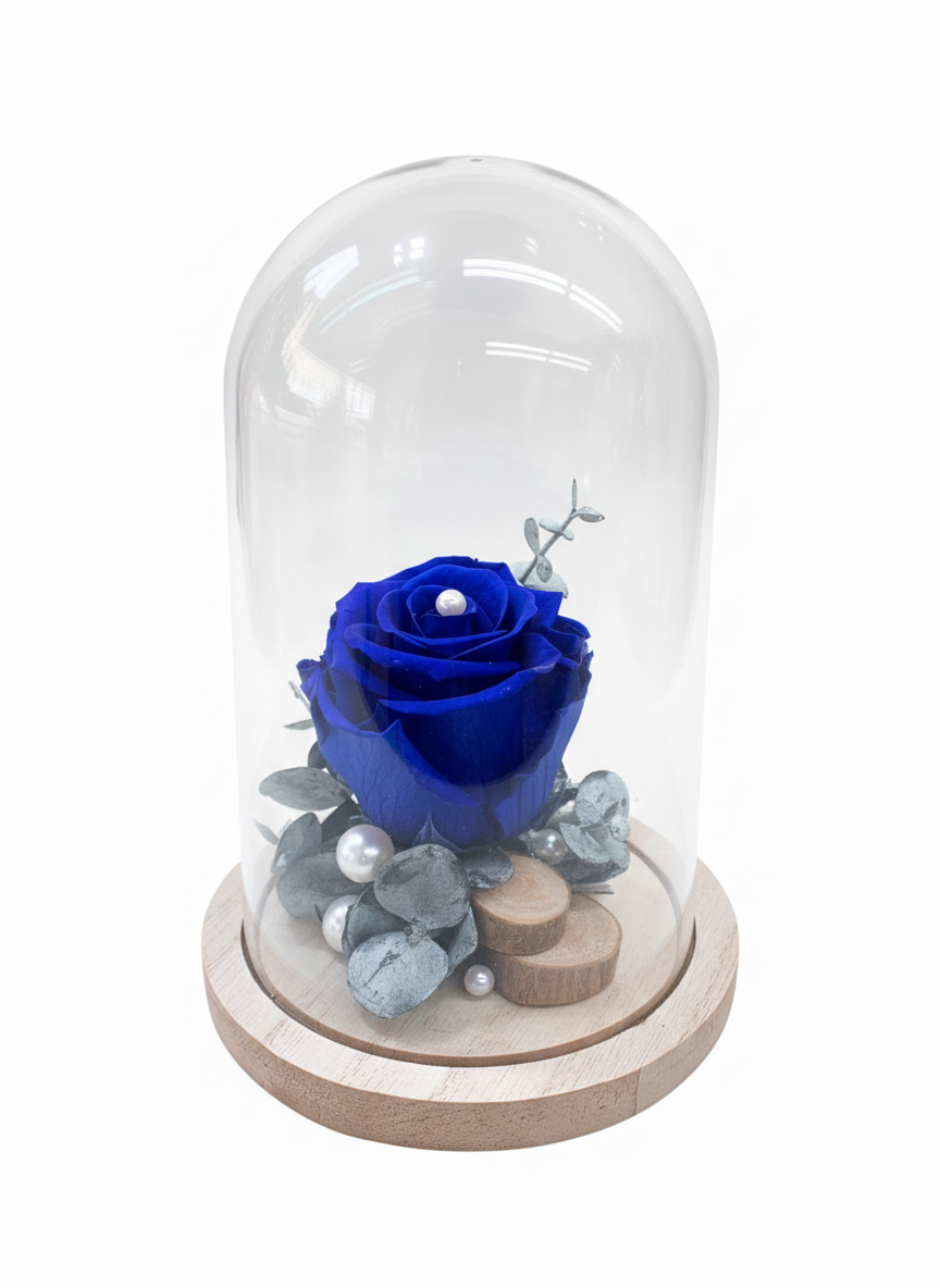 Rose Éternelle "Bleu Royal" sous Cloche