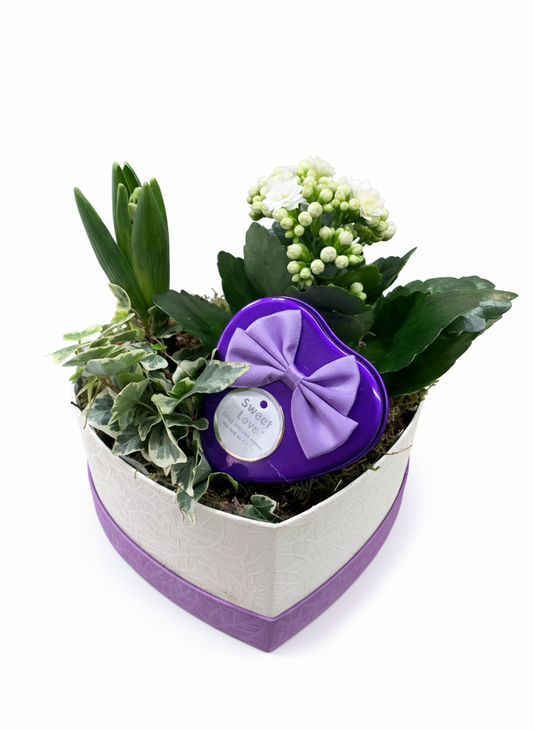 Composition "Cœur Jardin & Douceur" (Mauve & Blanc)