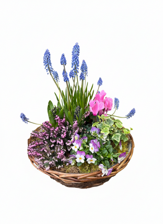 Corbeille Printanière – Un Jardin de Couleurs en Osier