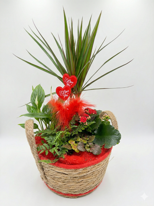 Panier de Plantes "I Love You" – Composition Florale Durable & Romantique