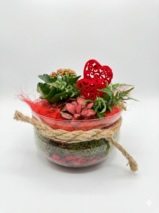 Terrarium de Plantes "Passion Rouge" – Coupe en Verre & Décoration Cœurs