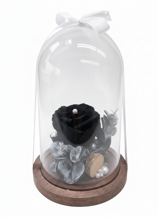 Rose Éternelle "Éclipse Noire" sous Cloche