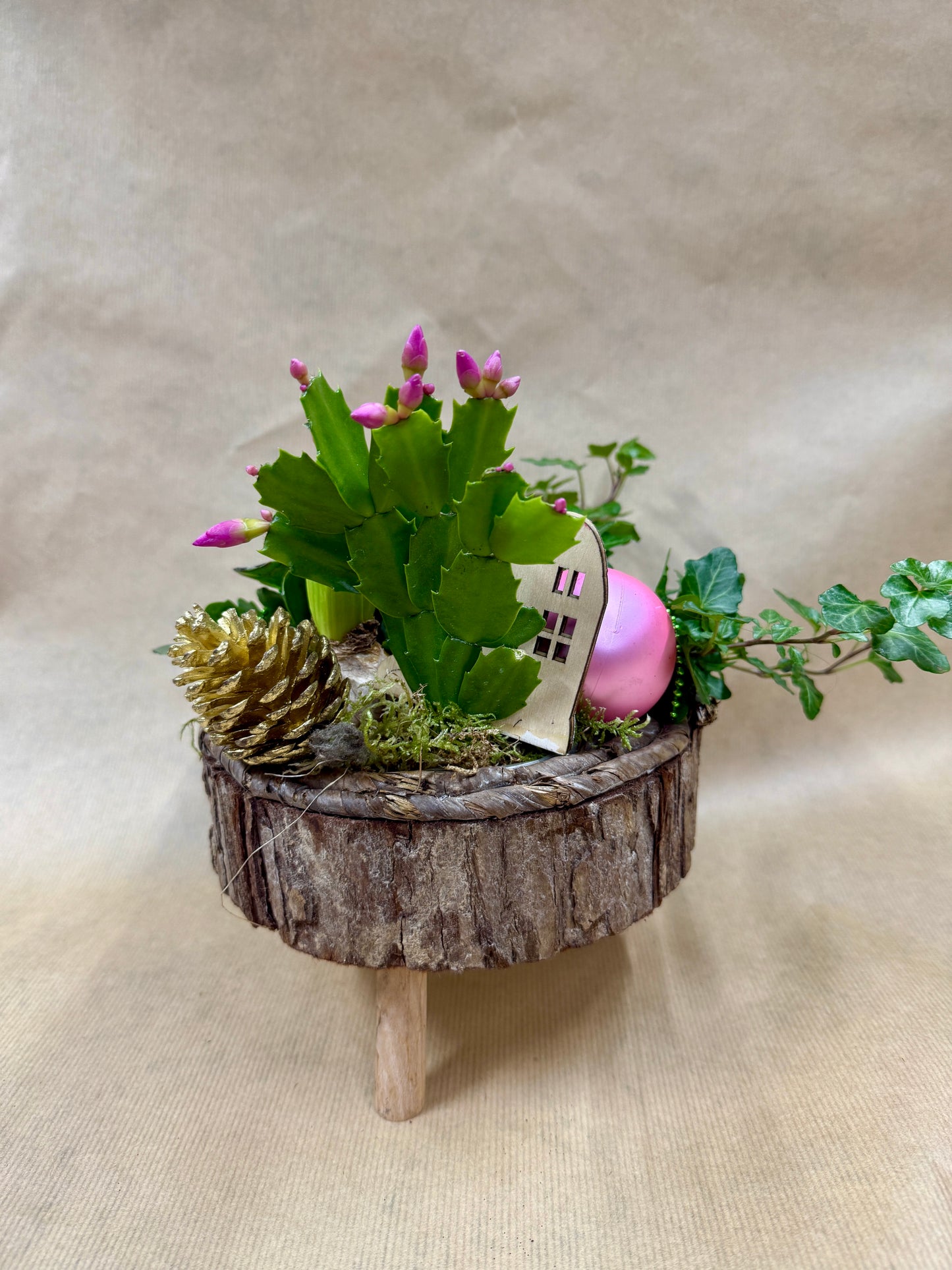 Mini Jardin d’Hiver Féérique