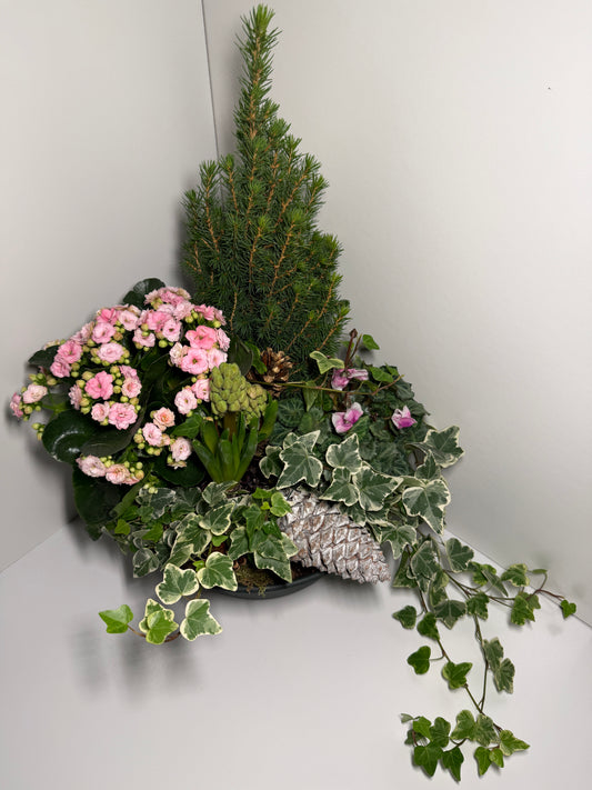 Composition végétale élégante avec conifère et fleurs roses