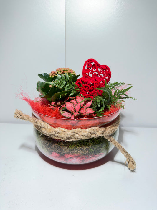 Terrarium de Plantes "Passion Rouge" – Coupe en Verre & Décoration Cœurs