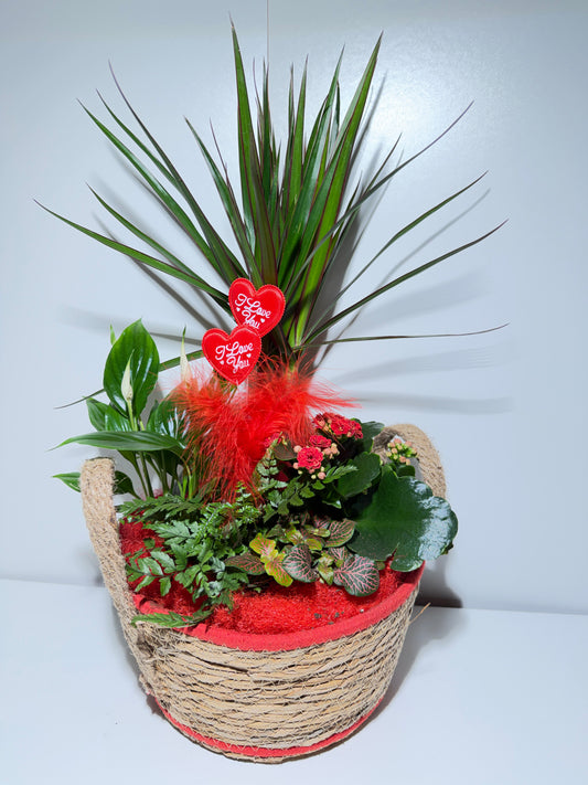 Panier de Plantes "I Love You" – Composition Florale Durable & Romantique
