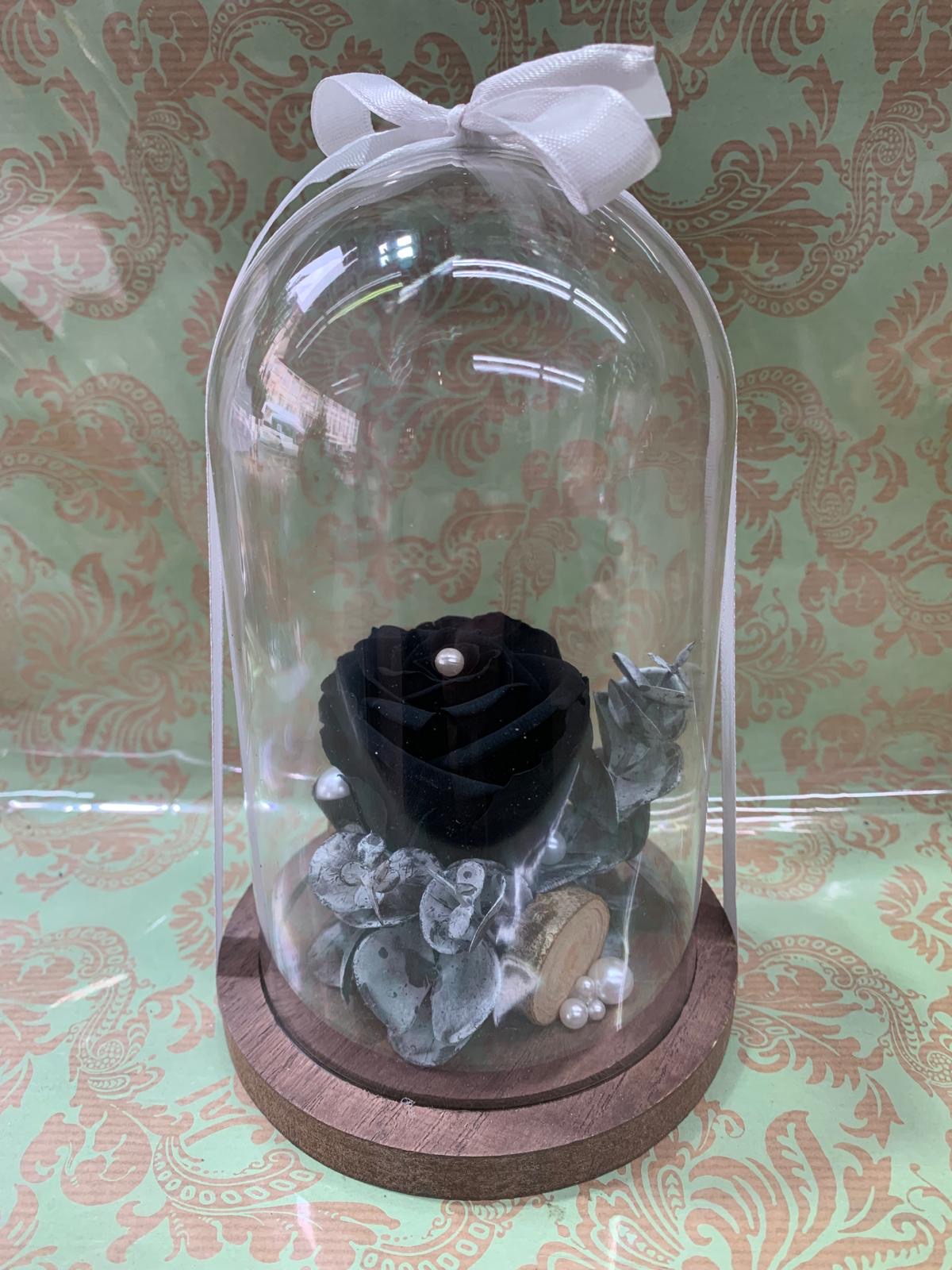 Rose Éternelle "Éclipse Noire" sous Cloche