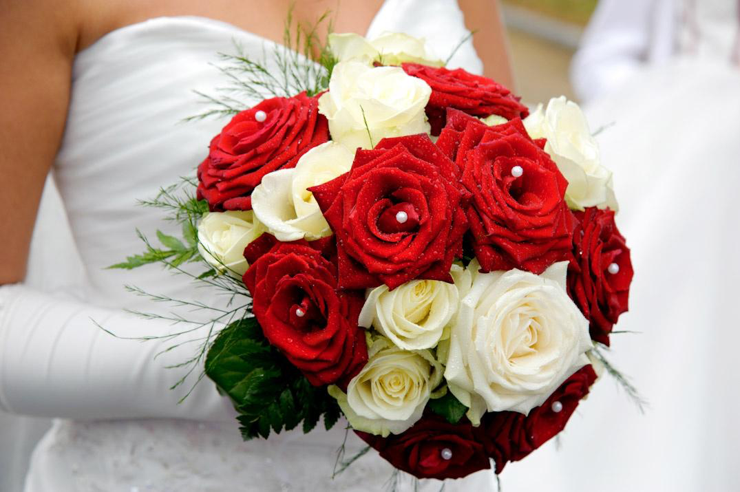 Élégance Passionnée