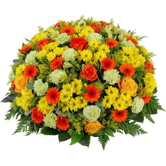 Coussin Rayons de Soleil